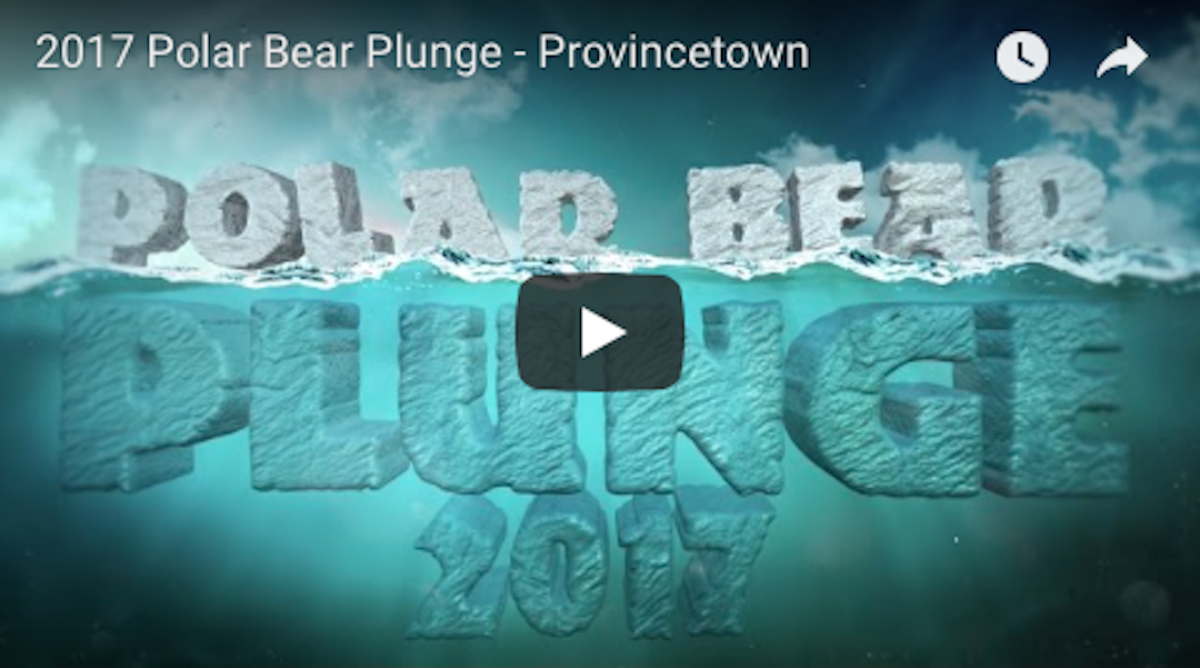 2017 Polar Bear Plunge