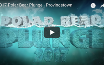 2017 Polar Bear Plunge