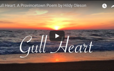 Gull Heart: A Provincetown Poem by Hilde Oleson