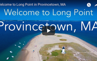 Welcome to Long Point in Provincetown