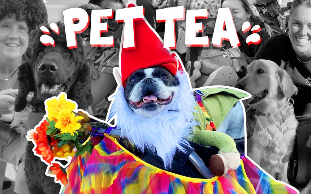 Pet Tea