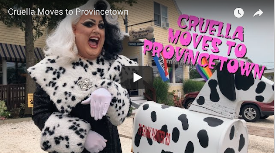 Cruella Moves to Provincetown
