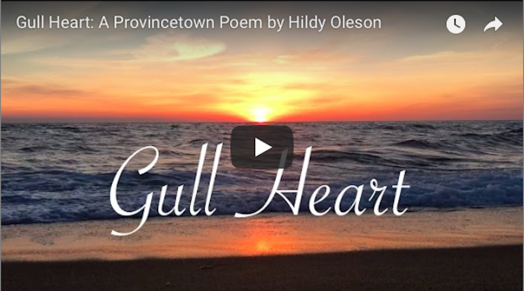 Gull Heart: A Provincetown Poem by Hilde Oleson