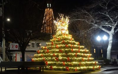 2019 Lighting of the Lobster Pot Tree